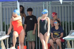 img 0013 large