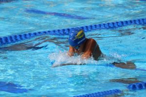 img 0336 large