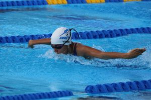 img 0413 large