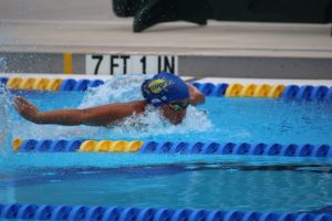 img 0478 large