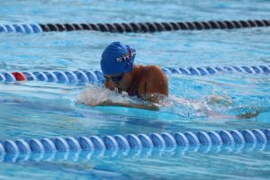 img 0955 large