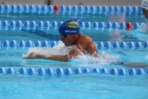 img 0958 large