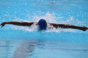 img 0988 large