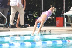 img 1245 large